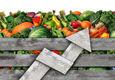 Food Inflation Could Treble by the End of 2026, FDF Warns