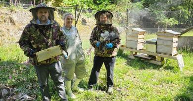 Country Estate Hotel Gives Nature A Buzz With New Beehives