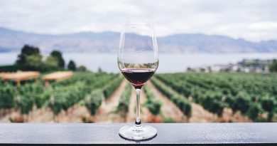 The Wine And Sprit Trade Association Shines A Spotlight On The Trade   