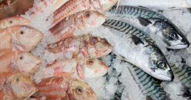 Microplastics Research Findings Welcomed By Seafish