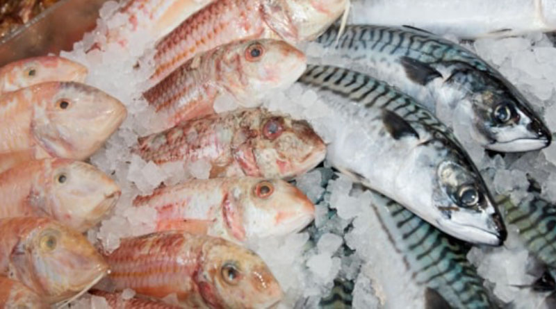 Microplastics Research Findings Welcomed By Seafish