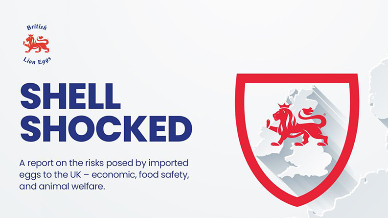 New Report Urges Government Action on Escalating Safety, Hen Welfare and Reputational Risk from Imported Eggs