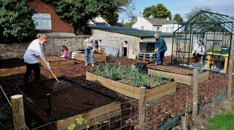Pub’s New Community Kitchen Garden Aiming to Grow Food and Friendships