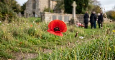 Greene King Builds on Local Poppy Appeal Support with Rollout to 1,500 Pubs