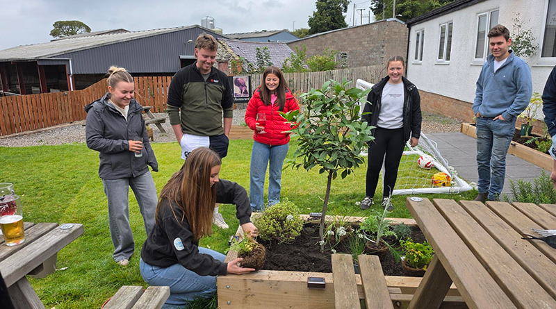 Conwy Pub’s New Garden Creates Space for Community Connection
